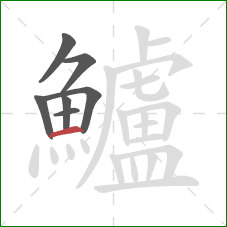 鱸的笔顺第7画:横 鱸的笔顺第7画:横
