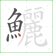 鱺的笔顺第11画:点 鱺的笔顺第11画:点