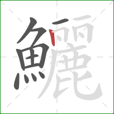 鱺的笔顺第13画:竖 鱺的笔顺第13画:竖