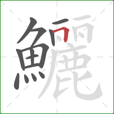 鱺的笔顺第14画:横折 鱺的笔顺第14画:横折