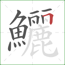 鱺的笔顺第18画:横折 鱺的笔顺第18画:横折