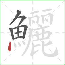 鱺的笔顺第8画:点 鱺的笔顺第8画:点