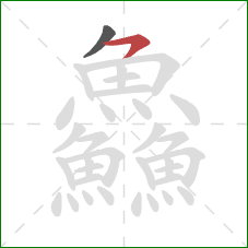 鱻的笔顺第2画：横撇