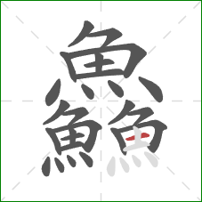 鱻的笔顺第27画：横