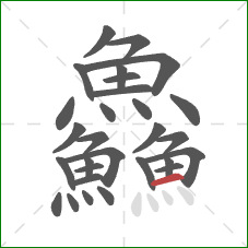 鱻的笔顺第29画：横