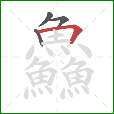 鱻的笔顺第4画：横折