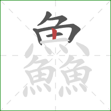 鱻的笔顺第6画：竖