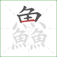 鱻的笔顺第7画：横