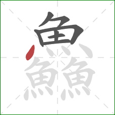 鱻的笔顺第8画：点