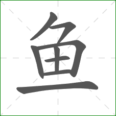 鱼的笔顺