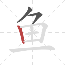 鱼的笔顺第3画：竖