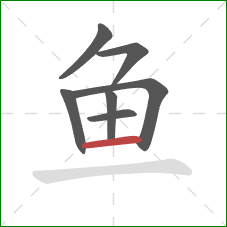 鱼的笔顺第7画：横