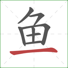 鱼的笔顺第8画：横