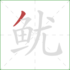 鱿的笔顺第1画：撇
