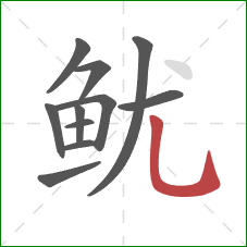 鱿的笔顺第11画：竖弯钩
