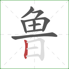 鲁的笔顺第9画：竖