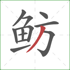 鲂的笔顺第12画:撇 鲂的笔顺第12画:撇
