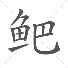 鲃的笔顺