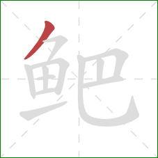 鲃的笔顺第1画：撇