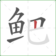 鲃的笔顺第10画：竖