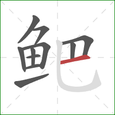 鲃的笔顺第11画：横