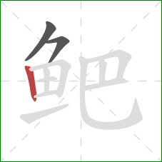 鲃的笔顺第3画：竖