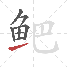 鲃的笔顺第8画：提