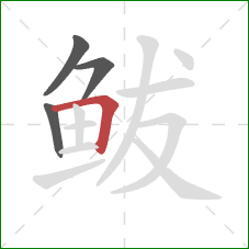 鲅的笔顺第4画：横折