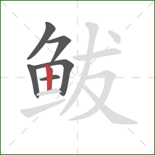 鲅的笔顺第6画：竖