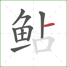 鲇的笔顺第10画:横 鲇的笔顺第10画:横