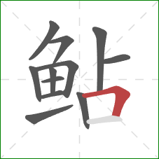 鲇的笔顺第12画:横折 鲇的笔顺第12画:横折