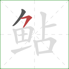 鲇的笔顺第2画:横撇/横钩 鲇的笔顺第2画:横撇/横钩