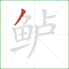 鲈的笔顺第1画：撇