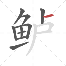 鲈的笔顺第10画：横