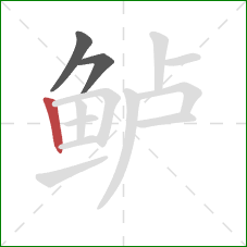 鲈的笔顺第3画：竖