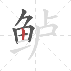 鲈的笔顺第6画：竖