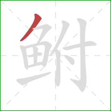 鲋的笔顺第1画：撇
