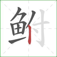 鲋的笔顺第10画：竖