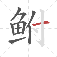 鲋的笔顺第11画：横