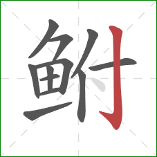 鲋的笔顺第12画：竖钩