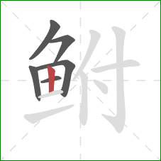 鲋的笔顺第6画：竖