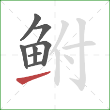 鲋的笔顺第8画：提