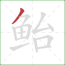 鲐的笔顺第1画：撇
