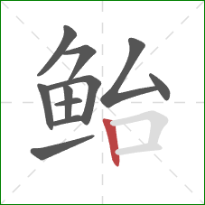 鲐的笔顺第11画：竖