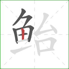 鲐的笔顺第6画：竖