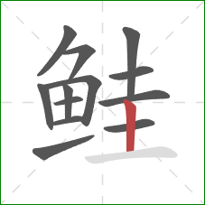 鲑的笔顺第13画：竖