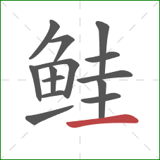 鲑的笔顺第14画：横