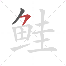 鲑的笔顺第2画：横撇