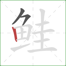 鲑的笔顺第3画：竖