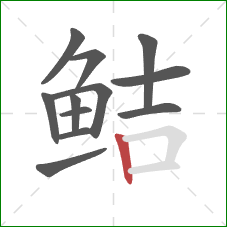 鲒的笔顺第12画：竖
